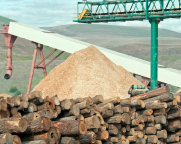 Timber_Conveyor_Belts_2.jpg